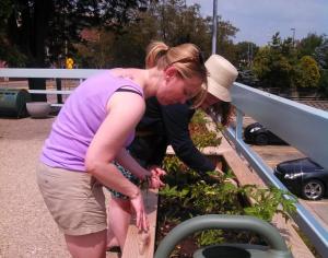 crowley both working horizontal