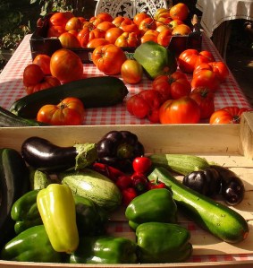autumn garden harvest